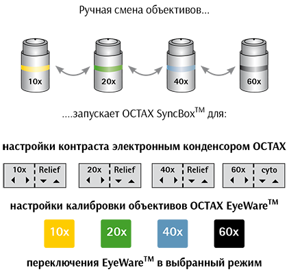 syncbox-scheme